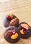 Chocolate with Toasted Almond, Dried Apricot and Cranberry